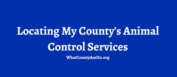 Locating My County's Animal Control Services